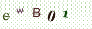 CAPTCHA code